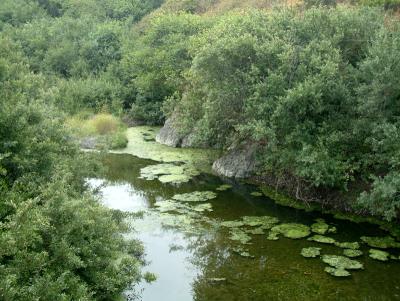 sansimeoncreek4.jpg