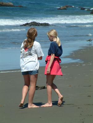 u40/gillettecraig/medium/32623515.sansimeoncreek6.jpg