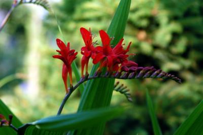 DSC_0011_resize.JPG