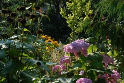 DSC_0037_resize.JPG