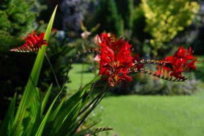 DSC_00730001_resize.jpg