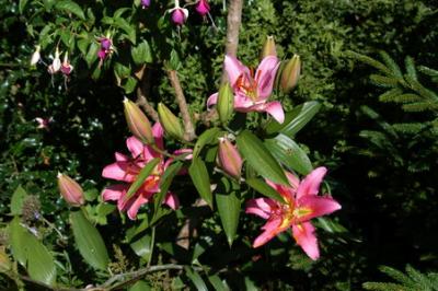 DSC_00750002_resize.jpg