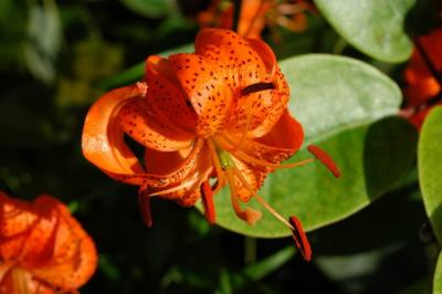 DSC_00910000_resize.jpg