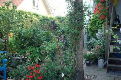 DSC_0141_resize.JPG