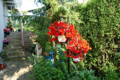 DSC_0145_resize.JPG