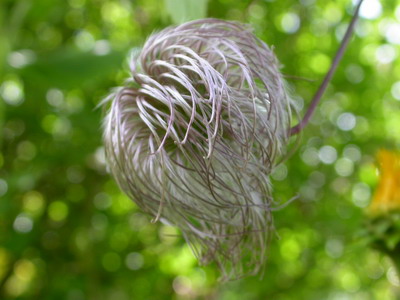 DSCN4016_resize.JPG