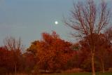 Fall Moon Rise