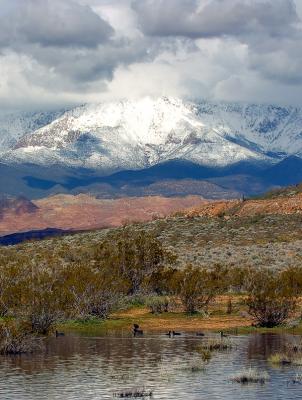 _DSC0612.jpg