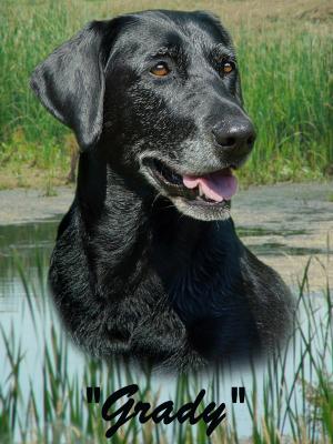 u40/grizzlyike/medium/40120600.Grady01.jpg