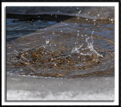 Early February Melt