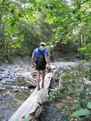 Charlie crossing the log at Mineral Creek