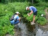 Filtering water