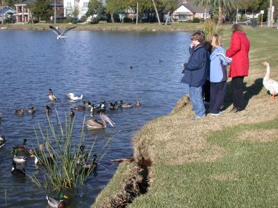 DSCN4458.JPG