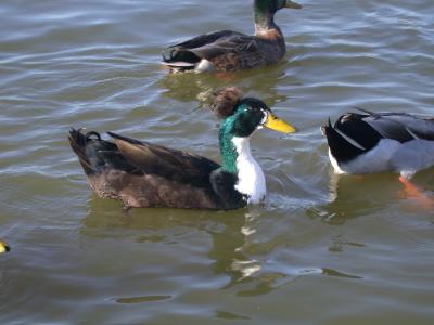 DSCN4460.JPG
