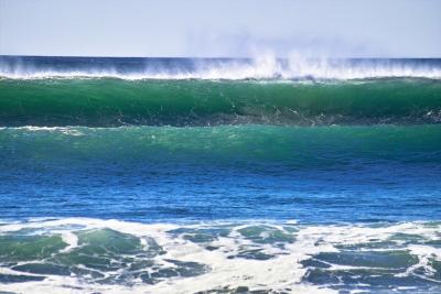 Surf's Up La Jolla