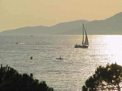 IMG_0850.JPG
