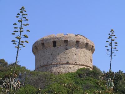 IMG_0862.JPG
