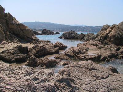 IMG_0867.JPG
