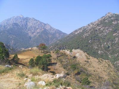 IMG_0872.JPG
