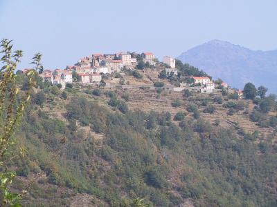 IMG_0874.JPG
