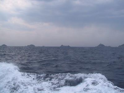 IMG_0908.JPG