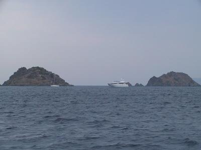 IMG_0911.JPG