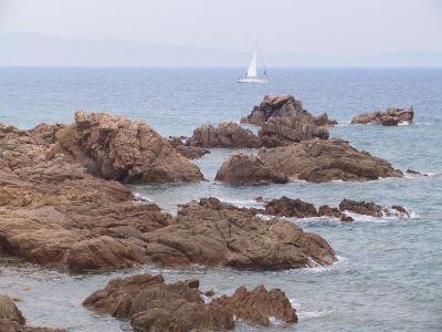 IMG_0920.JPG