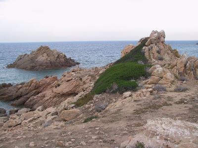 IMG_0926.JPG