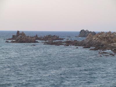 IMG_0928.JPG