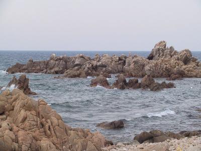 IMG_0935.JPG
