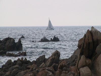 IMG_0943.JPG