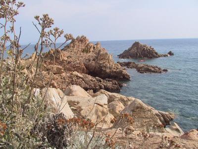 IMG_0949.JPG
