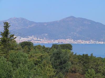 IMG_0975.JPG