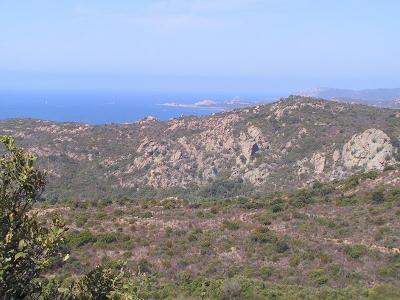 IMG_0977.JPG