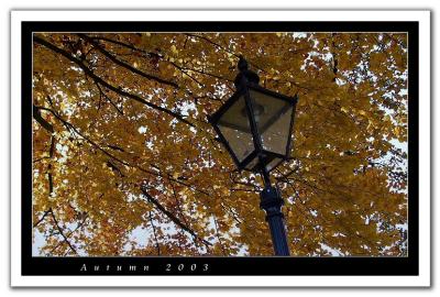 Autumn 2003