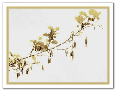 May Spring