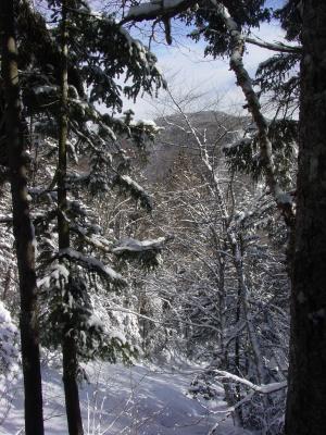 DSC06014.JPG