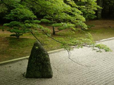 koya-rock-garden2.jpg