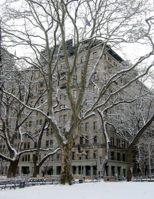 NYU Main Building - Arts  & Sciences College