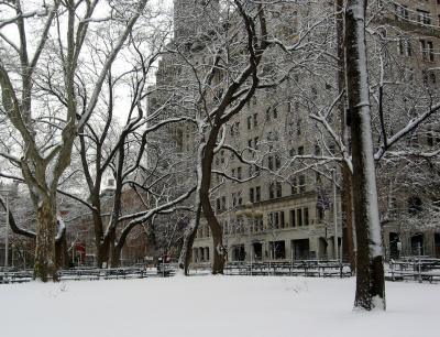 NYU Main Building WSE & WSN