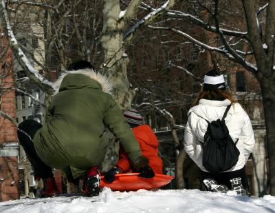 Sledding on the Mounds in Washington Square Park