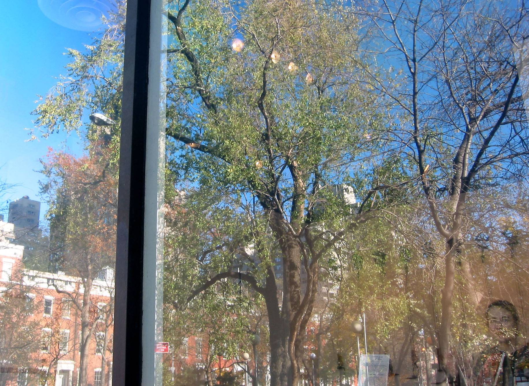 WSP Reflection in  NYU Main Building Windows