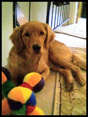Darby