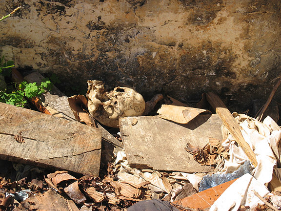cemetery5.jpg