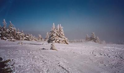 Mt. Greylock January 2003