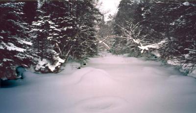 johnsbrook