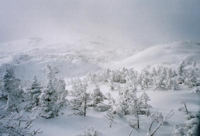 snowfields