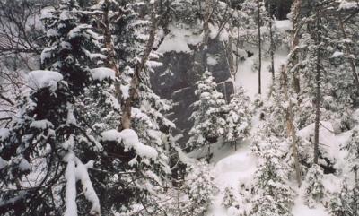 upperjohnsbrook