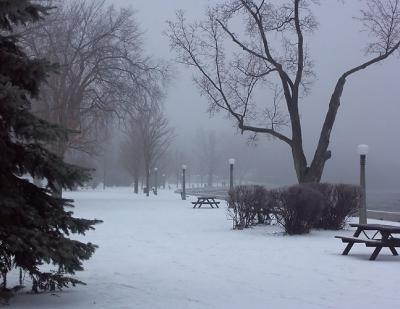 Strathcona Park in Winter Fog