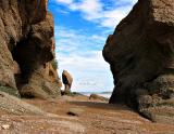 Hopewell Rocks